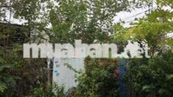 🌱BÁN ĐẤT HIẾM MẶT TIỀN HẺM LỚN🌱