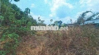 Bán ĐGTS đất tại phường Phú An, TP. Hồ Chí Minh