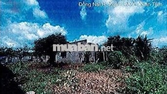 Bán ĐGTS đất tại xã Xuân Hòa, Tỉnh Đồng Nai
