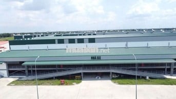Cho thuê kho xưởng DT: 20.000m² mới đẹp , KCN Tân Phú Trung, Củ Chi