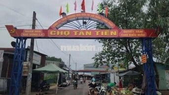 Chủ cần bán gấp chia tài sản 1000m2 giá 390tr