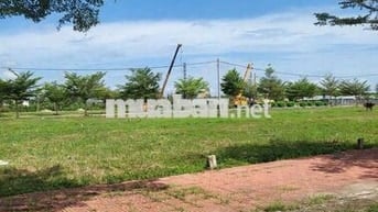 CẶP NỀN SONG SINH 70 / 72 – ĐẮC LỘC TỤ TÀI, SONG HÀNH THỊNH VƯỢNG