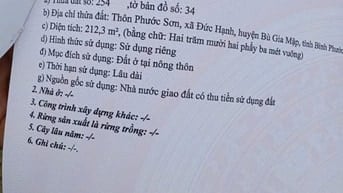 Bán đất Bù Gia Mập tỉnh Bình Phước 