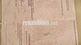 BÁN ĐẤT CHÍNH CHỦ – GIÁ TỐT TẠI PHƯỜNG BÌNH XUÂN
