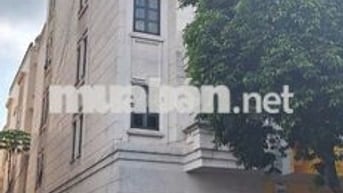 Cho thuê Nhà Mặt Tiền Cityland Phan Văn Trị- Gò Vấp + DT: 5m ×20m(4L)