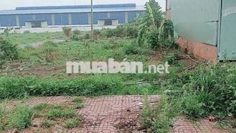 Đất khu công nghiệp đồng  phú 170m2 (5*34)