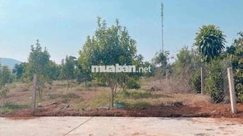 Chính chủ cần bán  lô đất trung tâm xã Mê Linh - Lâm Hà - Lâm Đồng