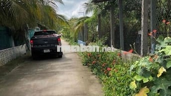 Đất nền sổ hồng riêng cách cầu Bến Chùa 300m-710triệu -175m2.
