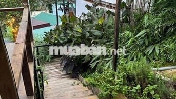 SANG NHƯỢNG QUÁN NƯỚNG BBQ - TP. ĐÀ LẠT (GẦN TRUNG TÂM)