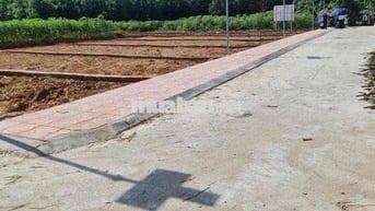 Bán Đất Thanh Hoá  .Giá : 470 triệu /lô