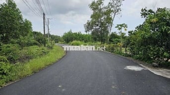 Cần bán nhanh lô đất Ấp Phước Tân Xuyên Mộc Hồ Tràm