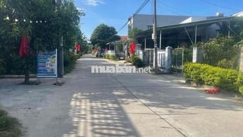 175m đg btong 7m. hoà phú. xac đg vành đai.