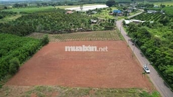 Hàng F0 anh chị em ơi giá rẻ tụt quần ạ. 200mv/60 thổ cư..