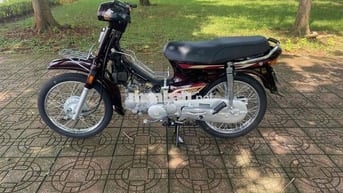cần bán super deam siêu cọp