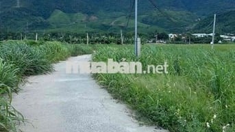 chào bán lô đất trồng cây lâu năm hoà bắc phường hải vân mới
