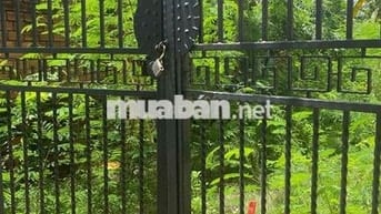BÁN ĐẤT ĐÔNG HƯNG THUẬN, Q12 – HẺM XE HƠI 6M – DT 5x18m