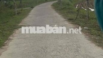 Cần đất Phúc Minh Hành Thuận đừng bỏ qua lô này nha khách ơi