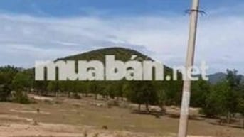 đất mặt tiền gần quốc lộ 1a xã phong phú huyện tuy phong
