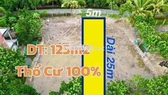 Đất Nền Thổ Cư 100% Lộ Nhựa Giá Rẻ