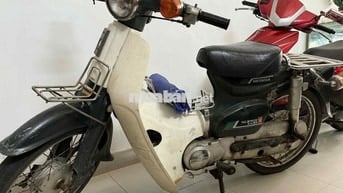xe cub 50