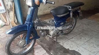 Honda Cub có đề giấy tờ TP HCM