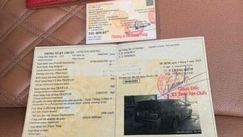 inova sãn xuất 2018 , số sản 7 túi khi