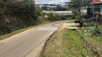 Sở hữu nhanh tay lô đất mặt tiền đường 14/3 phường Langbiang - Đà Lạt