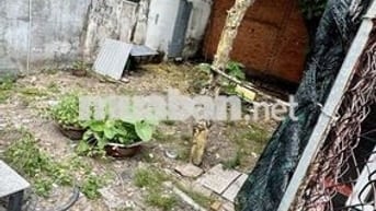(85M2) ĐẤT NỞ HẬU, NGANG 5,9M NGUYỄN VĂN LƯỢNG, P17, GV, GIÁ 4.3 TỶ TL