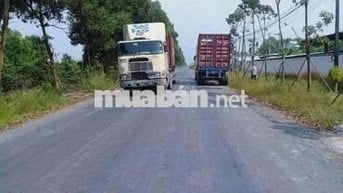 Đất mặt tiền xe container thổ vườn dt990m giá 5tỷ7.lương hòa bến lức.