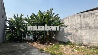 Chính chủ cần bán 2 tỷ 150, lô đất đẹp Bình Tân với diện tích 296,8m²