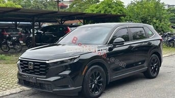Honda CRV L 2024