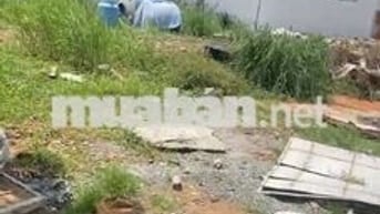 ĐẤT SHR CÁCH ĐƯỜNG THỚI HÒA 50M , GẦN CHỢ