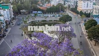 Sở hữu vị trí độc hiếm tại đường 3/2 - Đà Lạt
