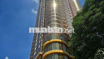 Sở hữu căn hộ cao cấp 2–3PN tại tòa QMS vị trí vàng, tiện ích đẳng cấp