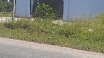 Bán đất MT Quốc lộ 62 xã Thủy Đông,Thạch Hóa,Long An,DT:4.8ha,26,4 tỳ