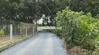 BÁN ĐẤT XÃ BÌNH LỢI , VĨNH CỬU ,ĐỒNG NAI