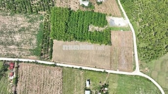 Đất Nền 224m² Bình Phước Thanh Toán 183 Triệu Nhận Tiền Thuê Ngay