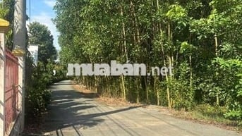 Bán đất 2 mặt tiên cách quốc lộ 51 tầm 100 mét
