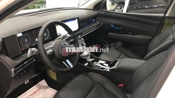 Hyundai Tucson đặc biệt