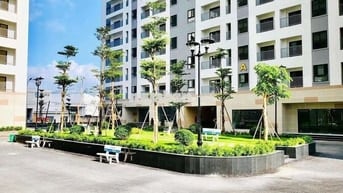 Iris Tower, 55 m², tầng 8, sổ hồng: 1,560 tỷ. Nhận ký gửi