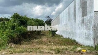 BÁN 500m2 ĐẤT XÂY TRỌ, NGHỈ DƯỠNG, CÁCH NGUYỄN VĂN CỪ 100m, P.LONG TUY