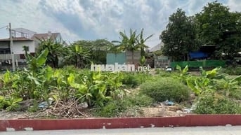 BÁN ĐẤT THỔ CƯ GẦN TRƯỜNG THCS TAM ĐÔNG 1. NGUYỄN THỊ NGÂU VÀO 100M.