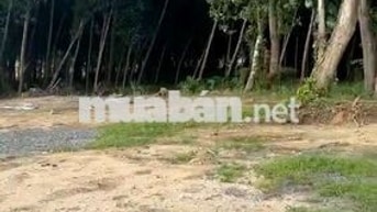 Đất Hòa Bắc- 400m2- có 260m2 đất ở