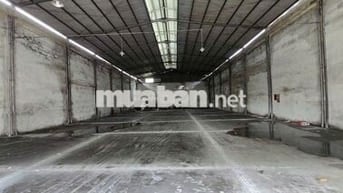 Cho Thuê Kho Xưởng 1160m² Ngay Mặt Tiền Trần Văn Giàu, Bình Chánh