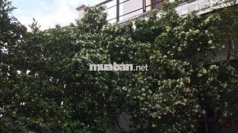 Cho thuê biệt thự hoàng hải hóc môn 700m2, 2 lầu , đường container