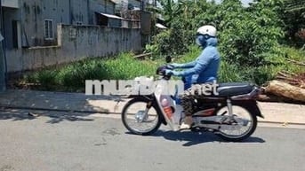 ĐẤT MẶT TIỀN SHR🫰12M×21M.XÂY BIỆT THỰ .LÀM NHÀ VƯỜN VÍP NHẤT .