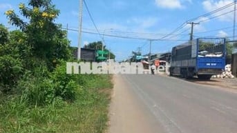 Bán xưởng _ mặt tiền nguyễn Hoàng