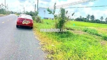 Hàng Thơm, 129m2 đất thổ cư đường xe cont Cầu Quay chỉ 890tr