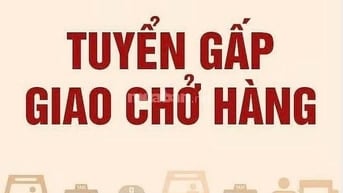 Tuyển 3 nam giao hàng giờ hành chính, đi làm ngay, 15tr/th, Bình Thạnh
