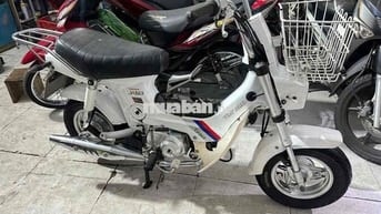 chaly 50cc 2021